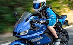 宝宝真骚是不是想被C